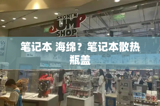 笔记本 海绵？笔记本散热瓶盖