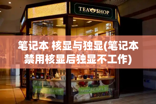 笔记本 核显与独显(笔记本禁用核显后独显不工作)