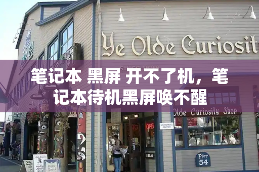 笔记本 黑屏 开不了机，笔记本待机黑屏唤不醒-第1张图片-星选测评