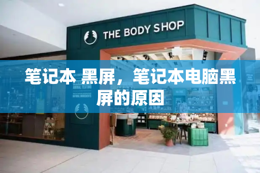 笔记本 黑屏，笔记本电脑黑屏的原因-第1张图片-星选测评