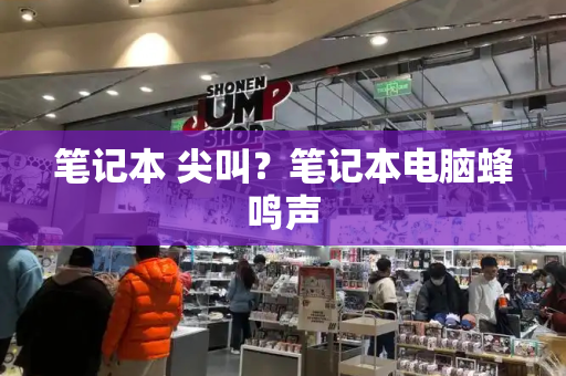 笔记本 尖叫？笔记本电脑蜂鸣声