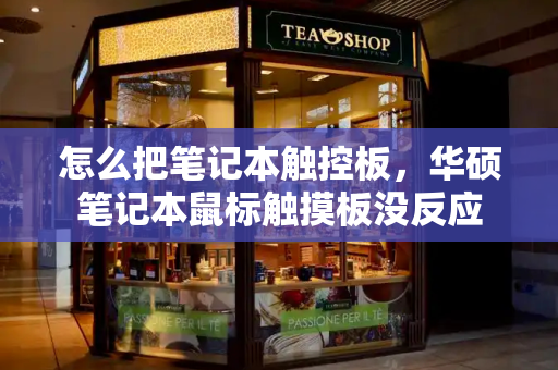怎么把笔记本触控板，华硕笔记本鼠标触摸板没反应-第1张图片-星选测评