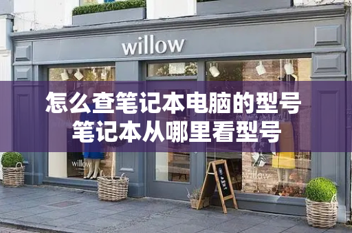 怎么查笔记本电脑的型号 笔记本从哪里看型号
