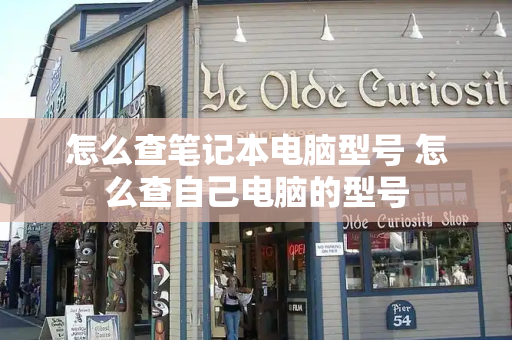 怎么查笔记本电脑型号 怎么查自己电脑的型号-第1张图片-星选测评