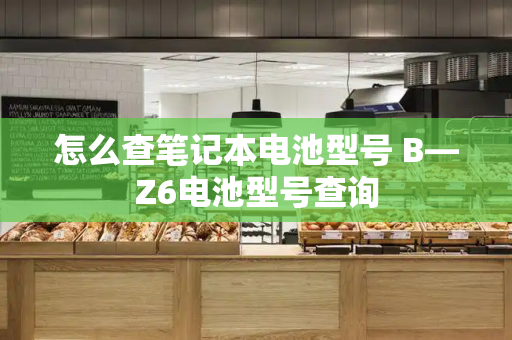 怎么查笔记本电池型号 B—Z6电池型号查询-第1张图片-星选测评