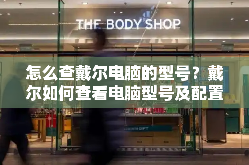 怎么查戴尔电脑的型号？戴尔如何查看电脑型号及配置-第1张图片-星选测评