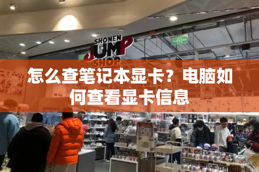 怎么查笔记本显卡？电脑如何查看显卡信息-第1张图片-星选测评