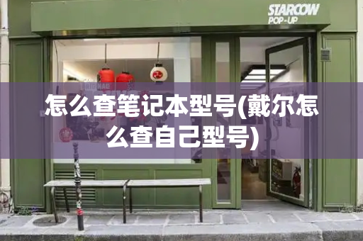 怎么查笔记本型号(戴尔怎么查自己型号)