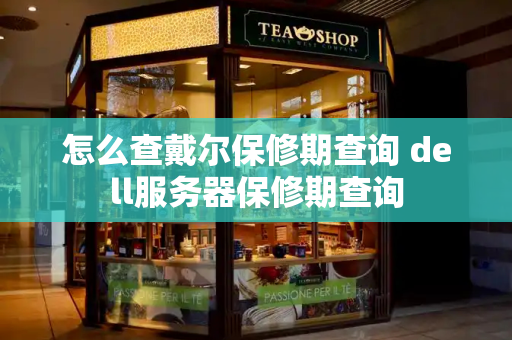 怎么查戴尔保修期查询 dell服务器保修期查询-第1张图片-星选测评