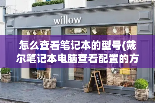 怎么查看笔记本的型号(戴尔笔记本电脑查看配置的方法)-第1张图片-星选测评