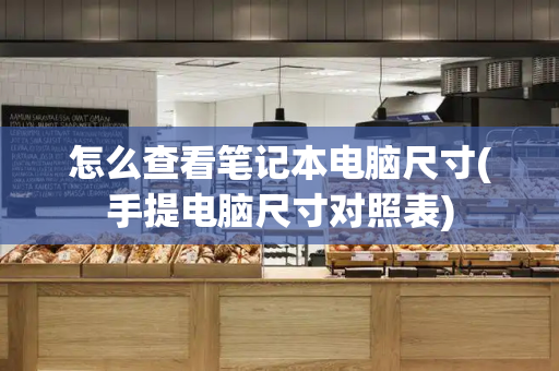 怎么查看笔记本电脑尺寸(手提电脑尺寸对照表)