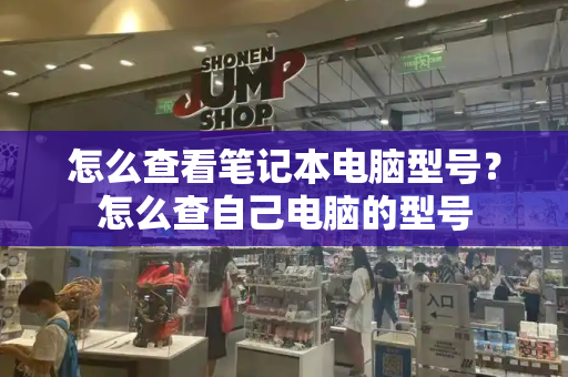 怎么查看笔记本电脑型号？怎么查自己电脑的型号-第1张图片-星选测评