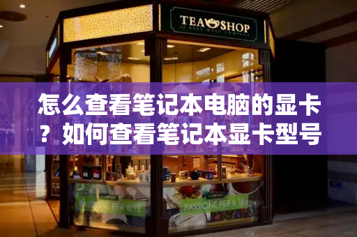 怎么查看笔记本电脑的显卡？如何查看笔记本显卡型号-第1张图片-星选测评