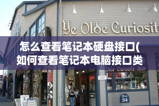 怎么查看笔记本硬盘接口(如何查看笔记本电脑接口类型)-第1张图片-星选测评