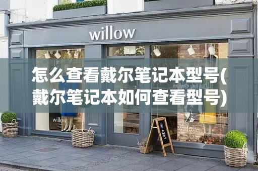 怎么查看戴尔笔记本型号(戴尔笔记本如何查看型号)-第1张图片-星选测评