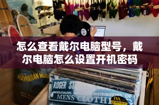 怎么查看戴尔电脑型号，戴尔电脑怎么设置开机密码-第1张图片-星选测评