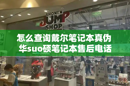 怎么查询戴尔笔记本真伪 华suo硕笔记本售后电话-第1张图片-星选测评