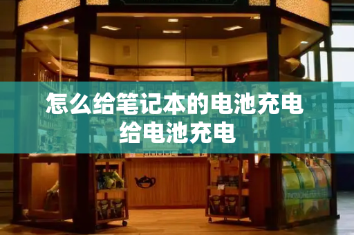 怎么给笔记本的电池充电 给电池充电