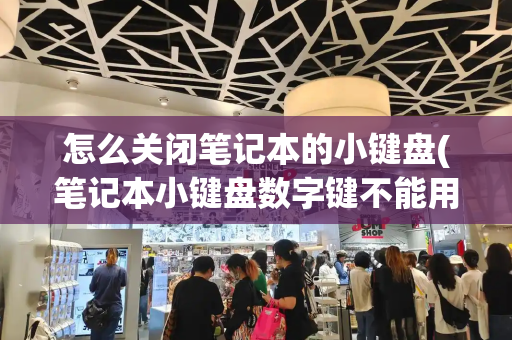 怎么关闭笔记本的小键盘(笔记本小键盘数字键不能用怎么办)-第1张图片-星选测评