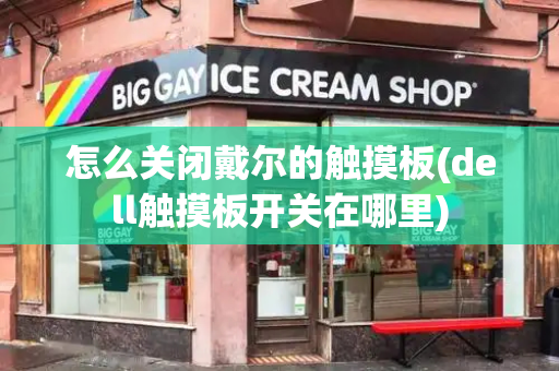 怎么关闭戴尔的触摸板(dell触摸板开关在哪里)-第1张图片-星选测评