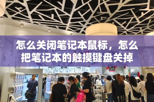 怎么关闭笔记本鼠标，怎么把笔记本的触摸键盘关掉-第1张图片-星选测评