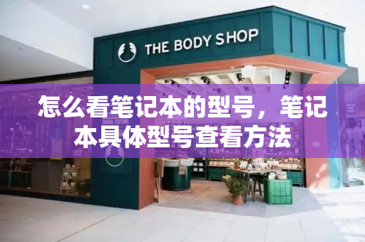 怎么看笔记本的型号，笔记本具体型号查看方法-第1张图片-星选测评