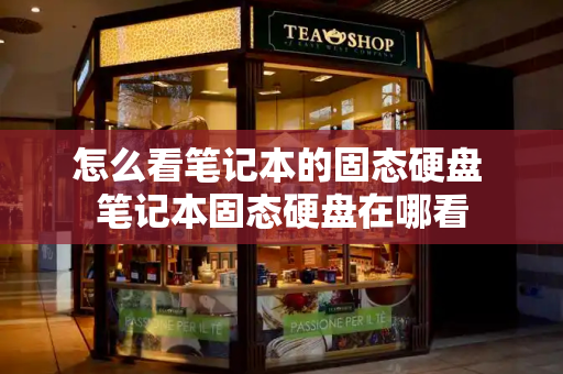怎么看笔记本的固态硬盘 笔记本固态硬盘在哪看