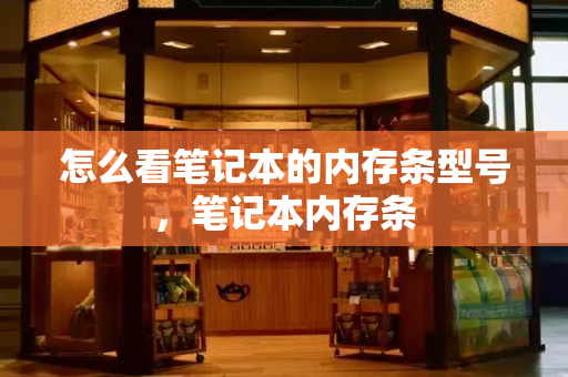 怎么看笔记本的内存条型号，笔记本内存条