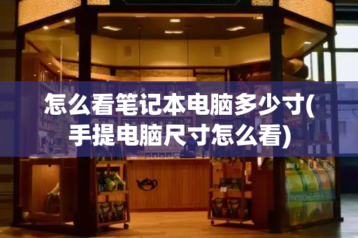 怎么看笔记本电脑多少寸(手提电脑尺寸怎么看)-第1张图片-星选测评