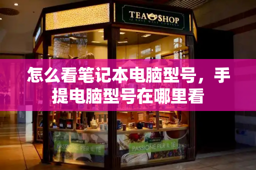 怎么看笔记本电脑型号，手提电脑型号在哪里看