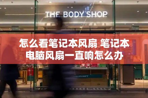 怎么看笔记本风扇 笔记本电脑风扇一直响怎么办