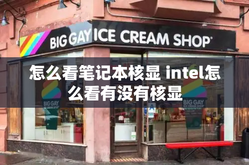 怎么看笔记本核显 intel怎么看有没有核显