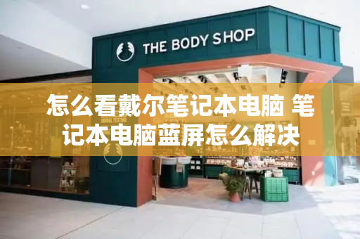怎么看戴尔笔记本电脑 笔记本电脑蓝屏怎么解决-第1张图片-星选测评