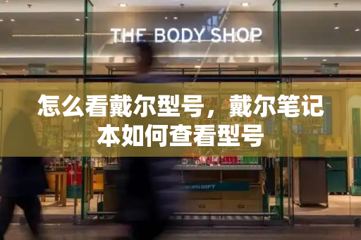怎么看戴尔型号，戴尔笔记本如何查看型号