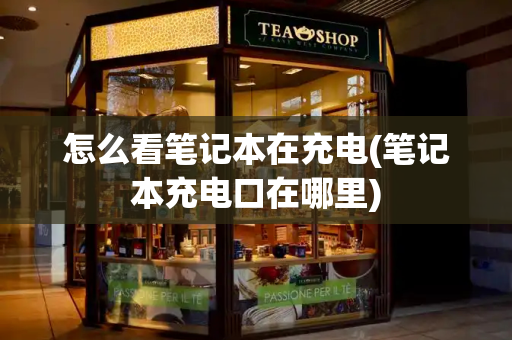 怎么看笔记本在充电(笔记本充电口在哪里)-第1张图片-星选测评
