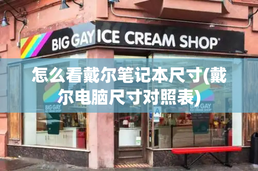 怎么看戴尔笔记本尺寸(戴尔电脑尺寸对照表)
