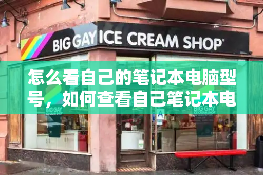 怎么看自己的笔记本电脑型号，如何查看自己笔记本电脑型号