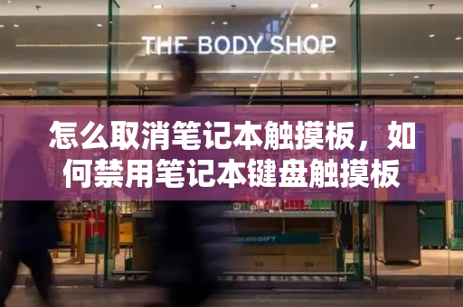 怎么取消笔记本触摸板，如何禁用笔记本键盘触摸板-第1张图片-星选测评