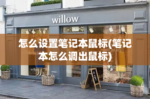 怎么设置笔记本鼠标(笔记本怎么调出鼠标)-第1张图片-星选测评