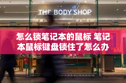 怎么锁笔记本的鼠标 笔记本鼠标键盘锁住了怎么办