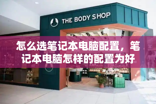 怎么选笔记本电脑配置，笔记本电脑怎样的配置为好-第1张图片-星选测评