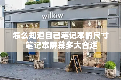 怎么知道自己笔记本的尺寸 笔记本屏幕多大合适-第1张图片-星选测评