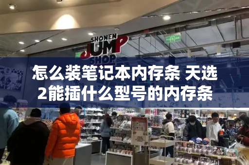 怎么装笔记本内存条 天选2能插什么型号的内存条-第1张图片-星选测评