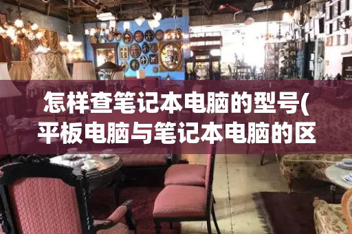 怎样查笔记本电脑的型号(平板电脑与笔记本电脑的区别)
