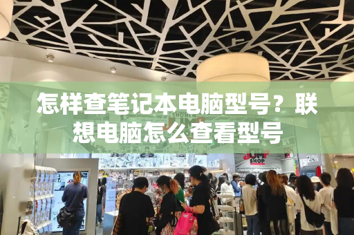 怎样查笔记本电脑型号？联想电脑怎么查看型号-第1张图片-星选测评