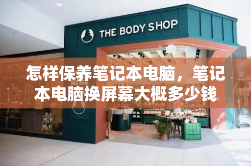 怎样保养笔记本电脑，笔记本电脑换屏幕大概多少钱-第1张图片-星选测评