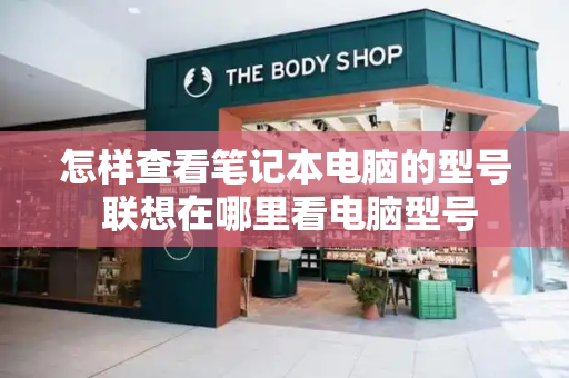 怎样查看笔记本电脑的型号 联想在哪里看电脑型号-第1张图片-星选测评