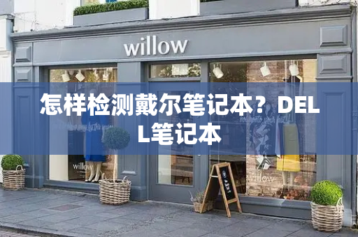 怎样检测戴尔笔记本？DELL笔记本-第1张图片-星选测评