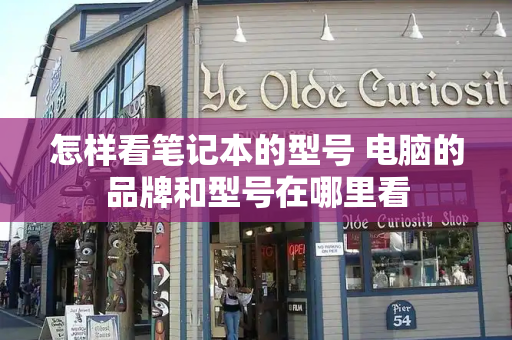 怎样看笔记本的型号 电脑的品牌和型号在哪里看
