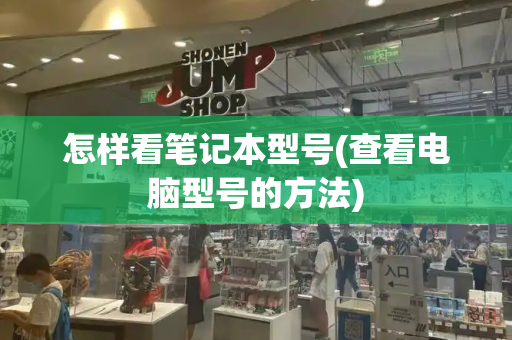 怎样看笔记本型号(查看电脑型号的方法)-第1张图片-星选测评